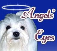 angels-eyes.jpg